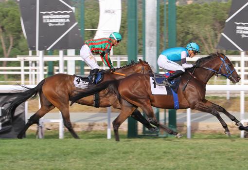 Rumbo ganó la tercera carrera, el Premio Dual Sea