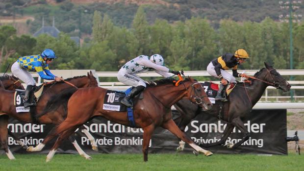 El Gran Premio de Madrid, cita ineludible en el Hipódromo de la Zarzuela