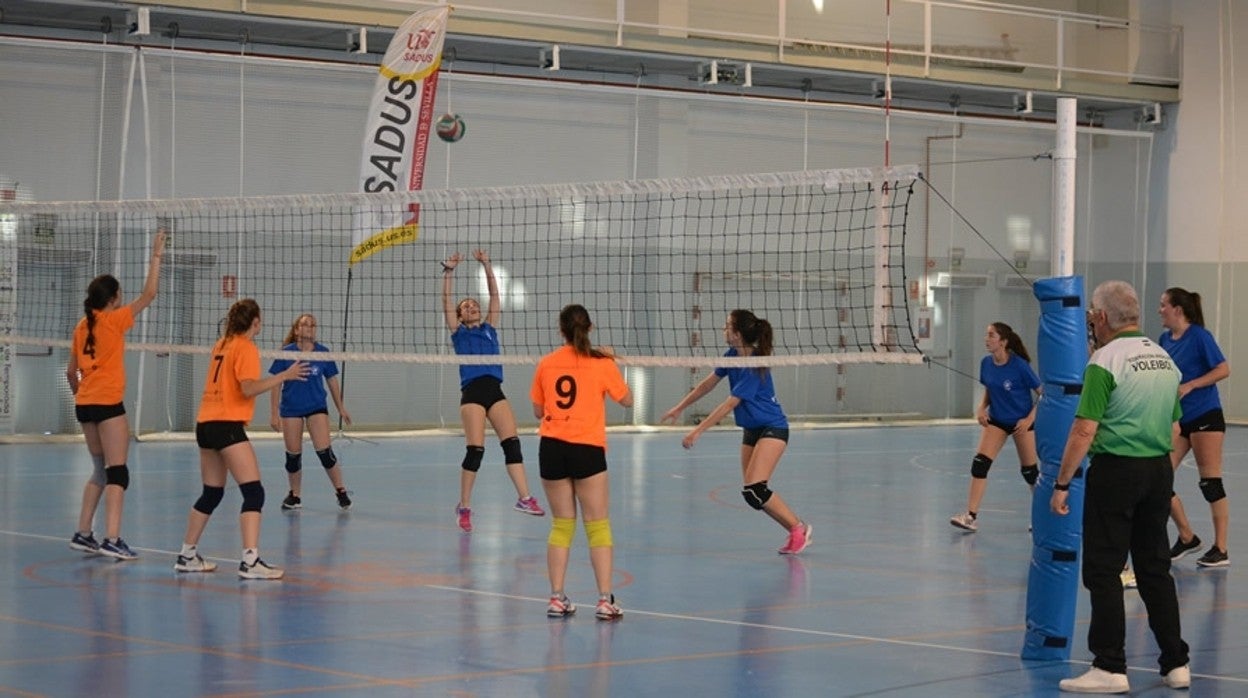 Voleibol femenino en las instalaciones del Sadus