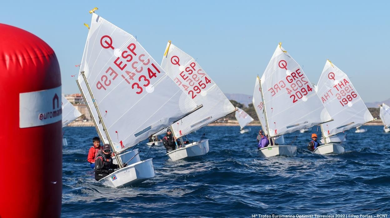 400 regatistas en la Euromarina Optimist Torrevieja