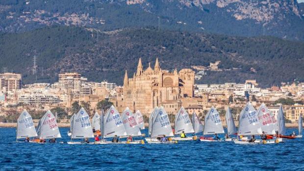 Más de 350 embarcaciones de 18 países en el Ciudad de Palma