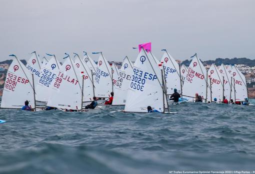 El XV Trofeo Euromarina Optimist Torrevieja cierró su inscripción con 426 regatistas