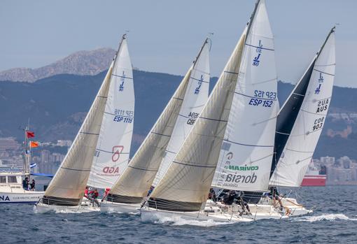 Las grandes esloras y los pequeños monotipos, reunidos de nuevo en la 19 edición de la Regata PalmaVela