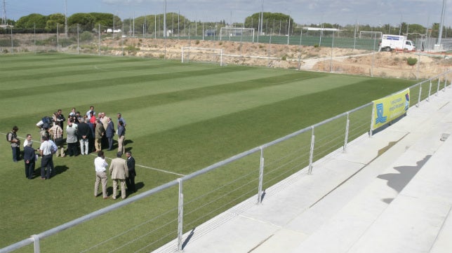 ¿Cómo se llamaban los cuatro campos de El Rosal?