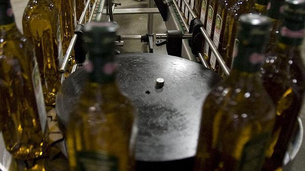 El aceite español no teme la incipiente producción china