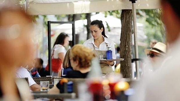 El empleo crecerá principalmente en el sector servicios