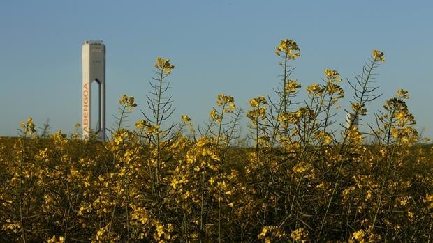 Abengoa obtiene un préstamo de 137 millones para afrontar sus necesidades inmediatas de liquidez