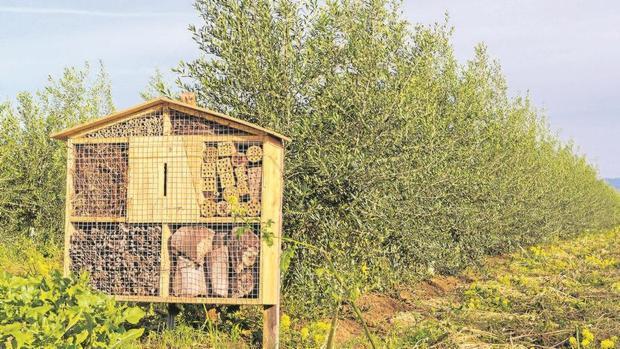 Una de las instalaciones dedicadas a albergar los insectos