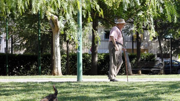 El autóno «suele cotizar por la base mínima para tener una mayor liquidez en su día a día»