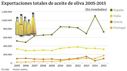 Las catas que determinan la calidad del aceite de oliva, a juicio