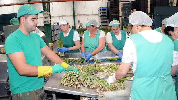 Trabajadores en una fábrica