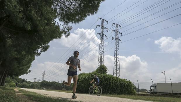 Deportistas corren en el parque Infanta Elena cerca de los postes y tendidos eléctricos