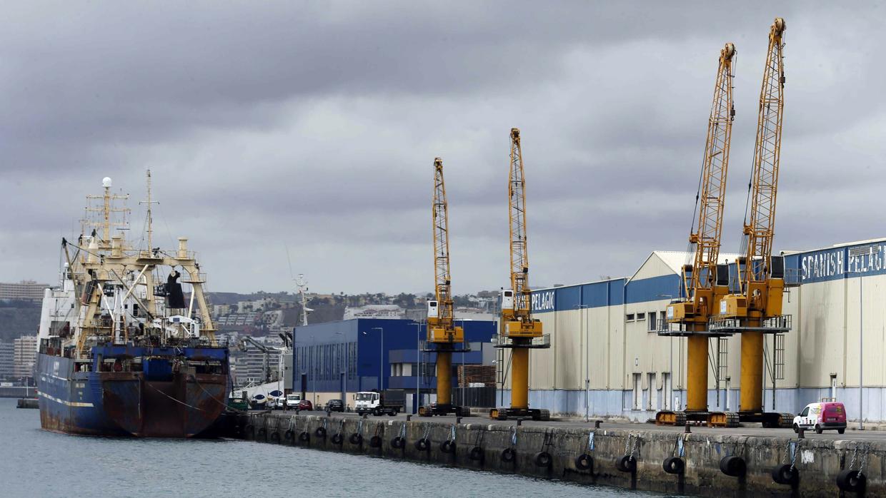 Grúas paradas en el puerto de Las Palmas durante la última huelga de estibadores