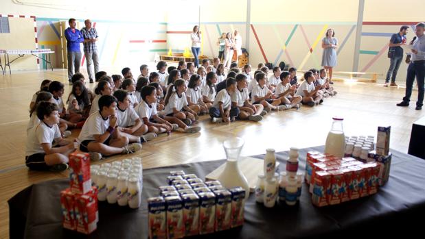 Desde el sector se han lanzado diferentes iniciativas para recuperar el consumo como la campaña «Dí sí a tres lácteos al día»