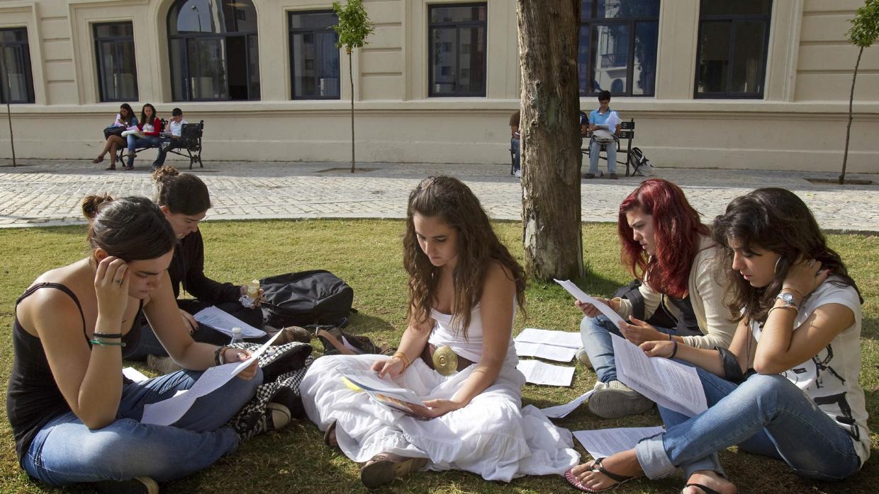 Estudiantes repasan sus apuntes en un campus de Sevilla