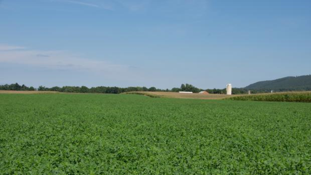 La PAC en 2018 trae novedades para las tierras en retirada