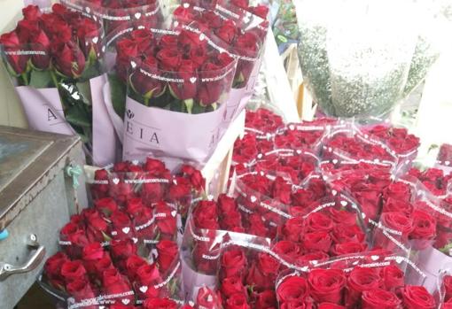 Rosas rojas de Flores Pili para celebrar San Valentín