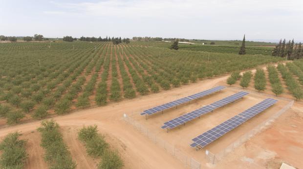 Energía fotovoltaica para ahorrar en fincas de regadío