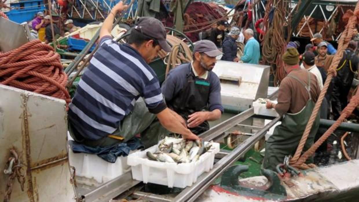 Pescadores en el puerto de Dajla