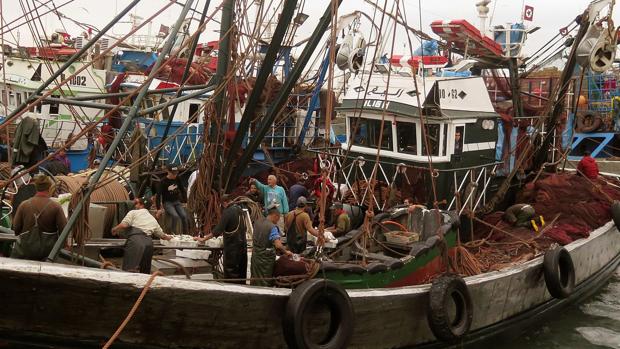 Piden la retirada de los barcos españoles que pescan en aguas del Sahara