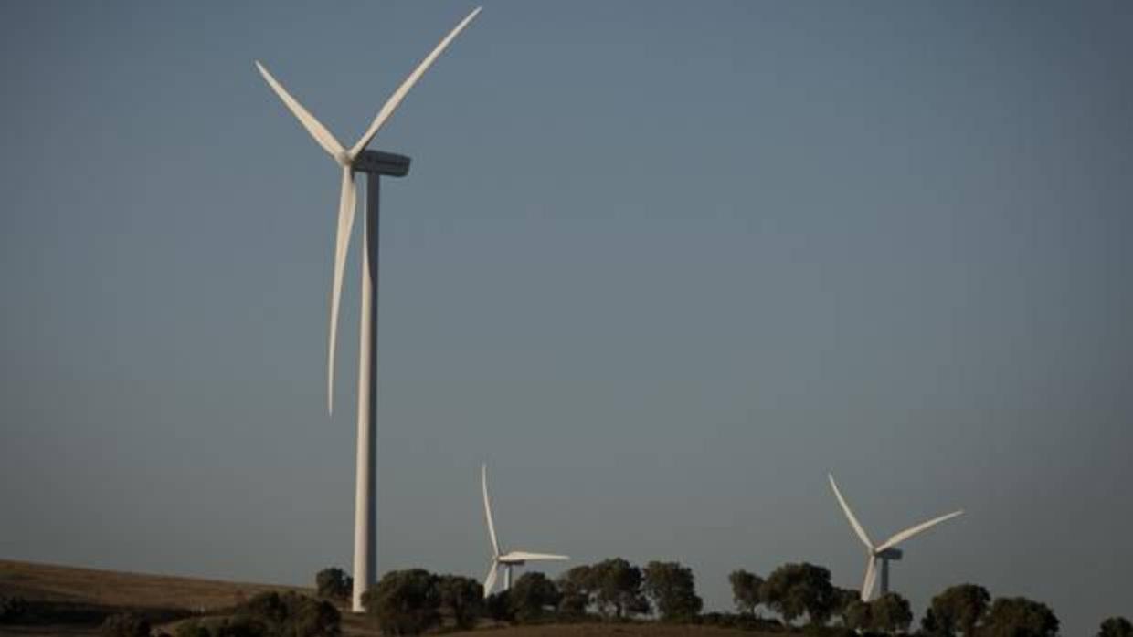 Parque eólico en la provincia de Cádiz