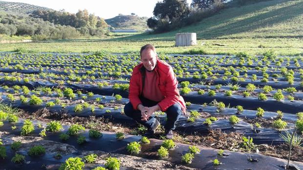 «La Sierra Sur tiene unas condiciones climáticas perfectas para el pistacho»