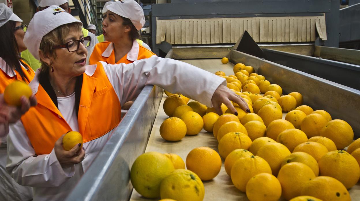 Unas trabajadoras en la planta de cítricos