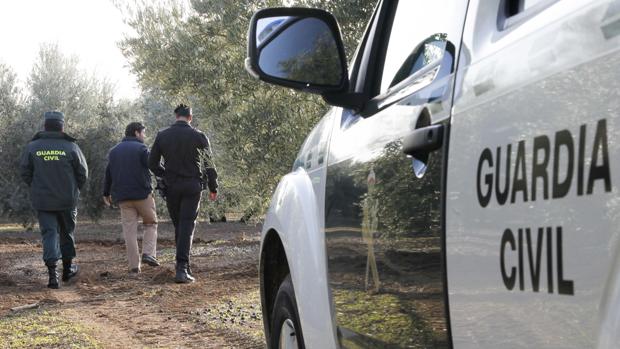 Caen un 9 por ciento los robos en el campo en el primer semestre del año en Andalucía