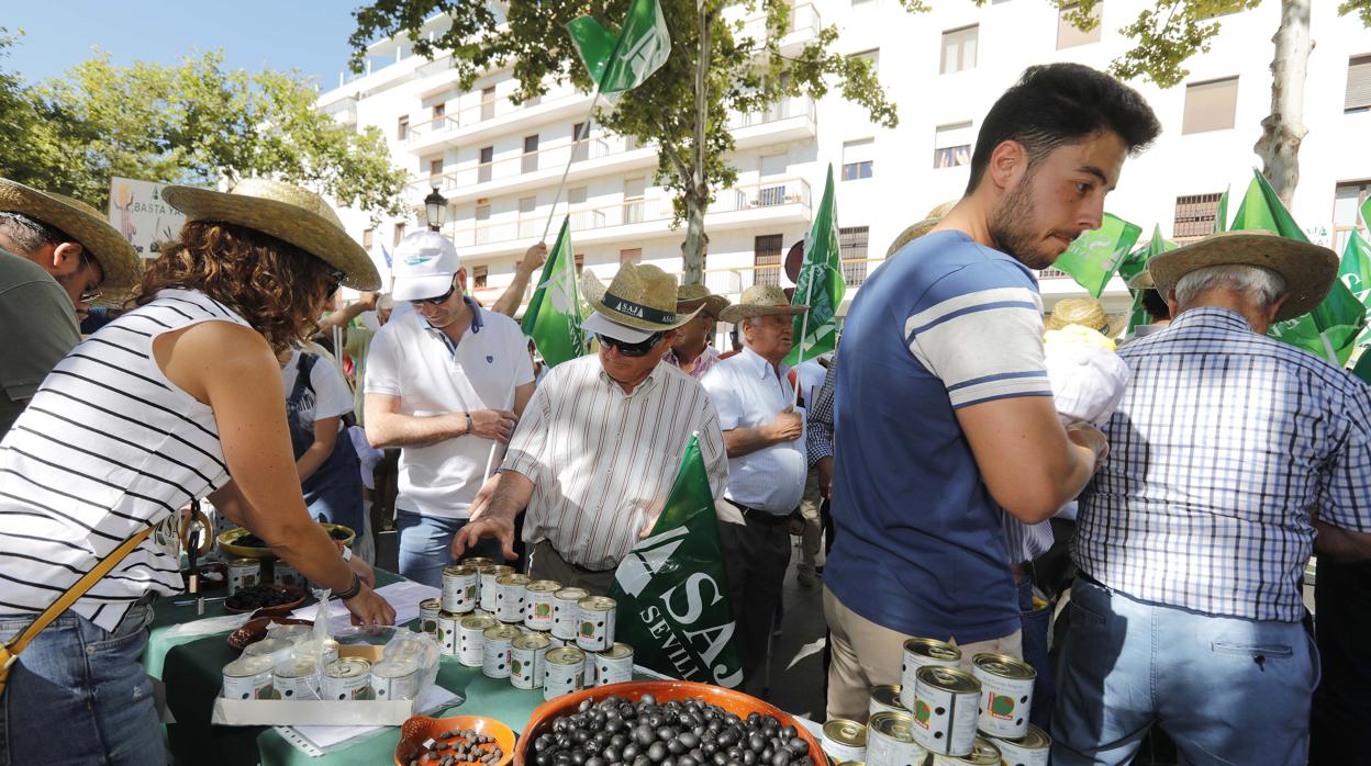 Protesta en Sevilla de productores de aceituna negra contra los aranceles de Estados Unidos