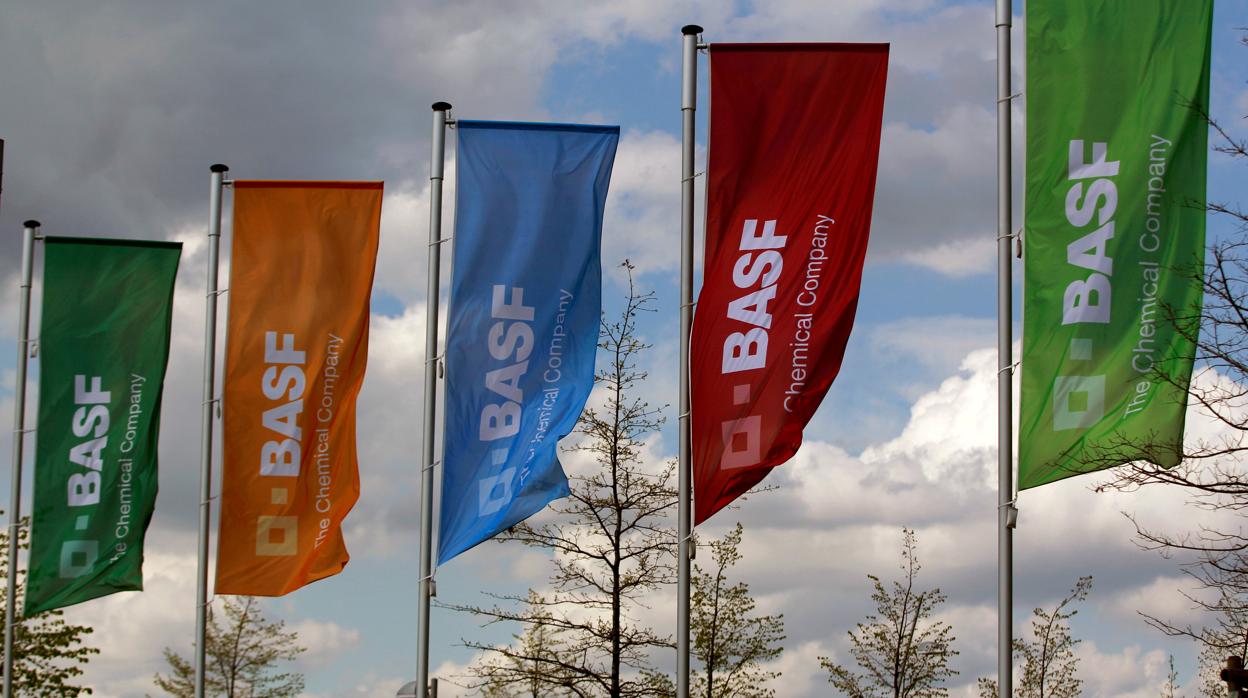 El presidente de la Junta Directiva de Basf Martin Brudermüller «ha completado la adquisición de importantes negocios y activos de Bayer