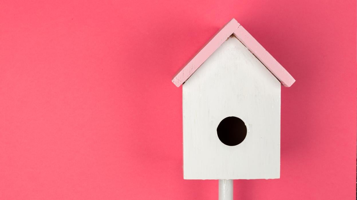 Los test de estrés y el «palo a la pajarera»