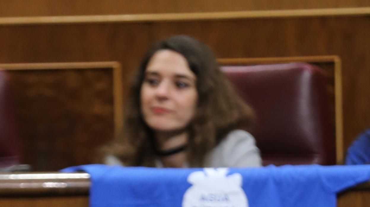 Tejerina, en una imagen de archivo, en el Congreso de los Diputados