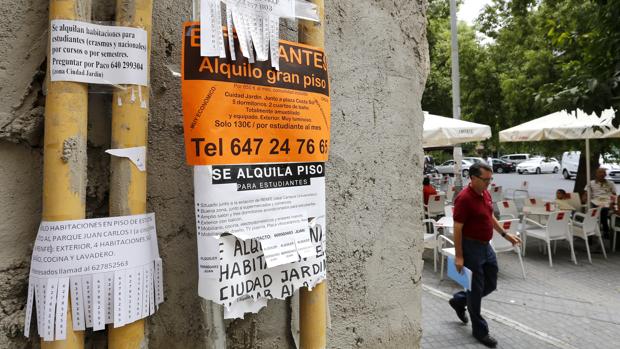 ¿Qué ocurre con los pisos alquilados tras la caída del decreto en el Congreso?