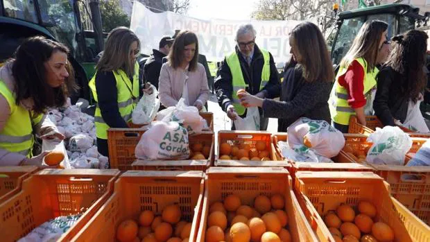 Agricultores de toda España exigen en Madrid a la UE que garantice la viabilidad del sector de los cítricos