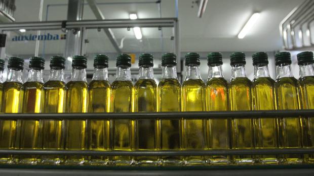 Piden más «control» en las importaciones de aceite de oliva para impedir «operaciones fraudulentas»