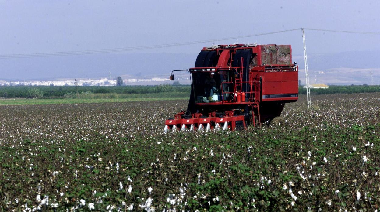 La reforma de la PAC prevé una reducción del presupuesto y nuevas exigencias medioambientales