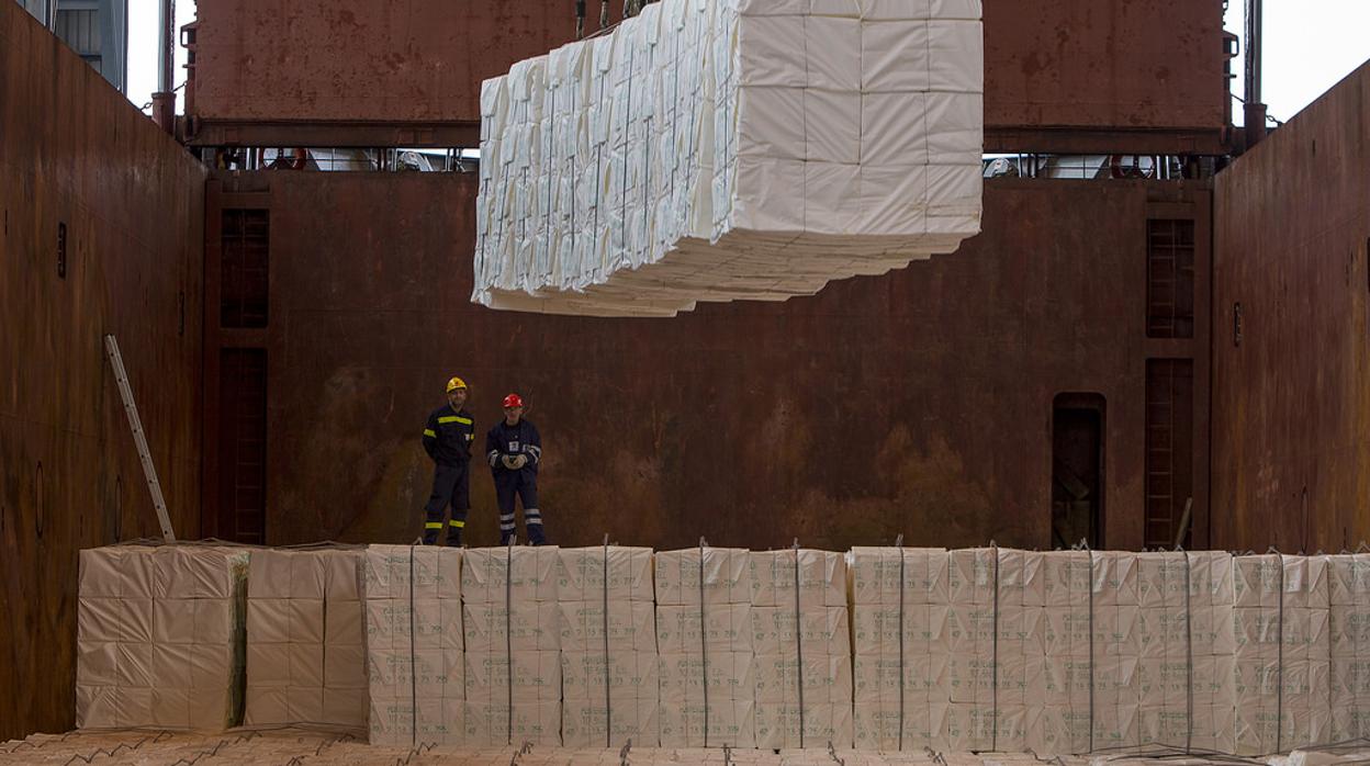 Planta de celulosa del grupo