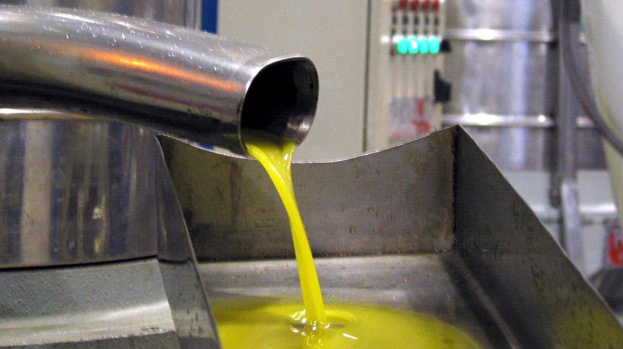 Se ha producido un nuevo récord de producción de aceite de olvida: 1,7 millones de toneladas