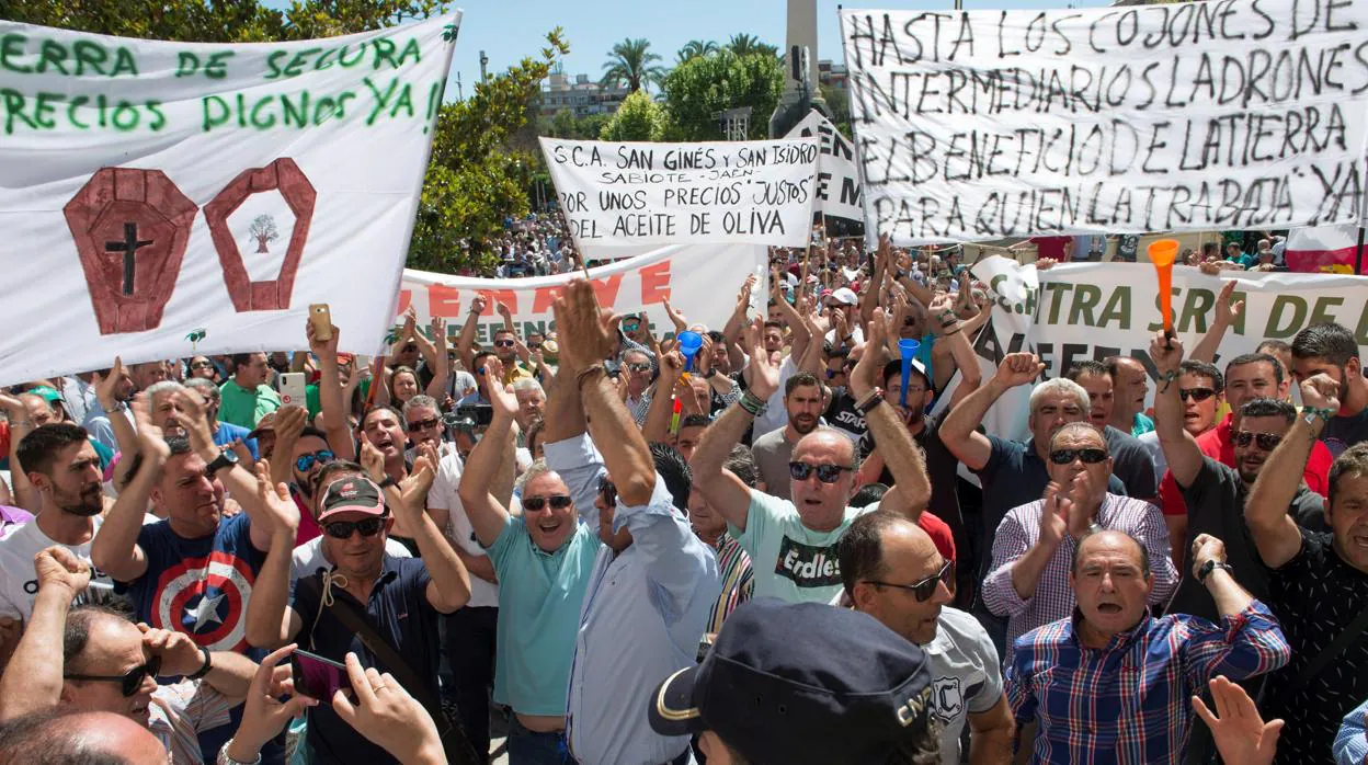 El sector oleícola unido se manifestó en Jaén el pasado 29 de mayo