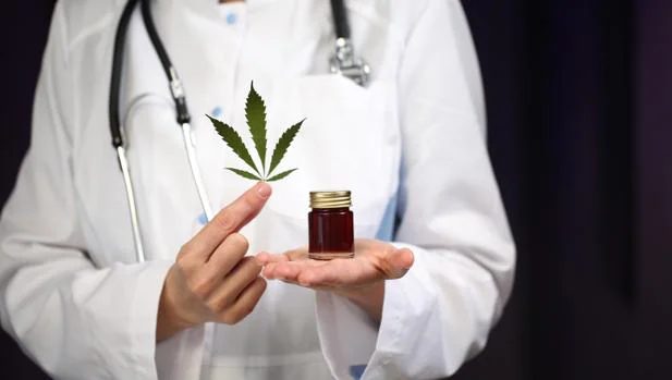 El cannabis medicinal espera un marco legal para echar raíces en España