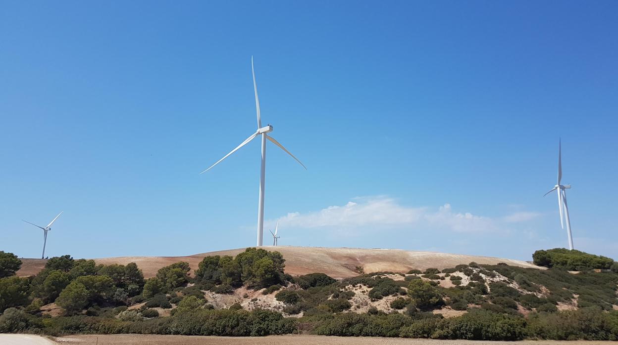 El presidente de la eléctrica aboga por la transformación del sistema energético