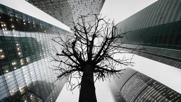 Cinco claves de la bioarquitectura