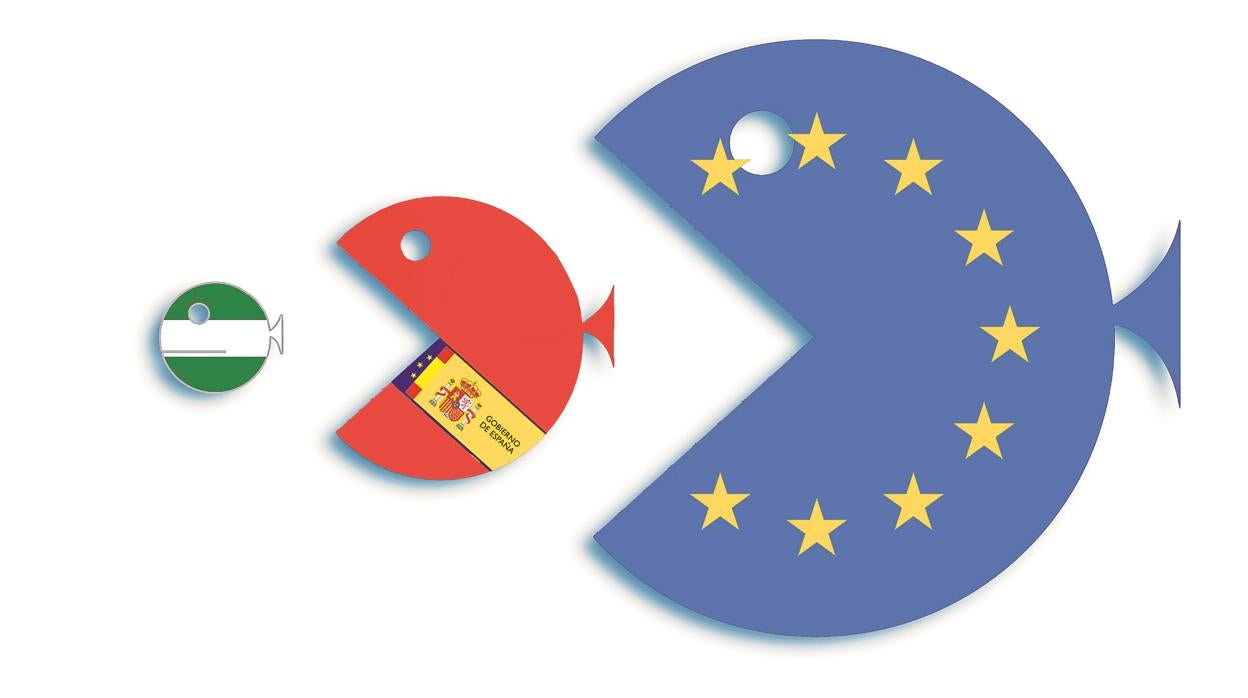 Más allá del control de las cuentas