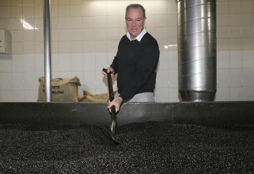 Andrés Bermúdez, CEO Andaluza de Café, fabricante de la marca Café AB, remueve granos tostados en la factoría de Alcalá de Guadaíra