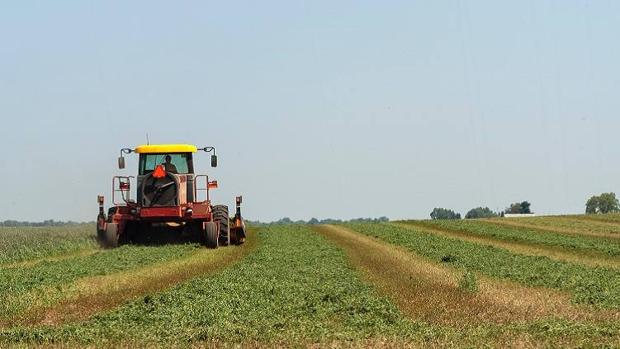 Abonados 4.116 millones de euros de las ayudas directas de la PAC