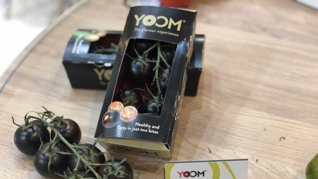 Así es «Yoom», el tomate almeriense que ha conquistado al jurado en Fruit Logistica