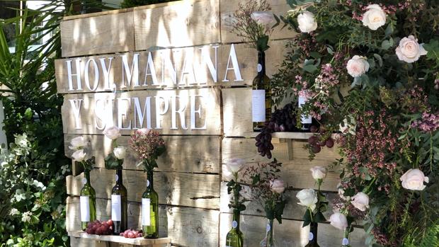 Muscari by Natalia Palacio: cuando los negocios se abonan con la pasión