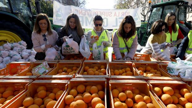 El campo, uno de los últimos bastiones auténticos