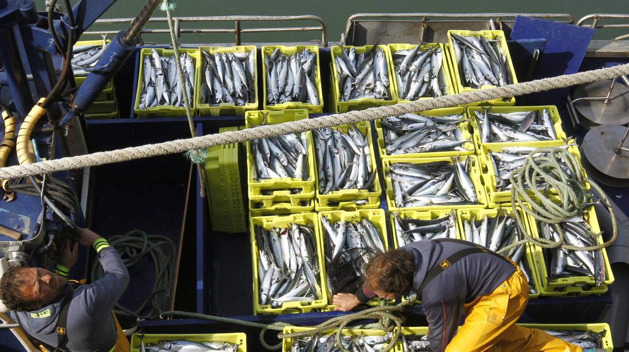 El sector pesquero se juega casi 13.000 empleos en la negociación del Brexit