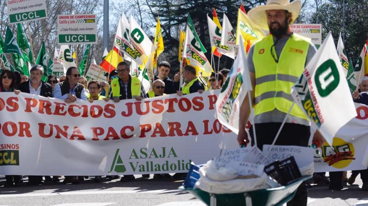 Tractorada este miércoles en Valladolid